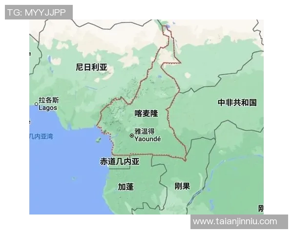 武汉羽毛球队在世界杯预选赛中的强势表现与未来展望分析